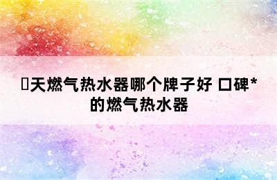 ​天燃气热水器哪个牌子好 口碑*的燃气热水器